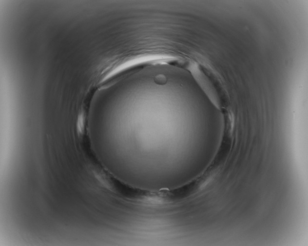 X0000086750076200704271719