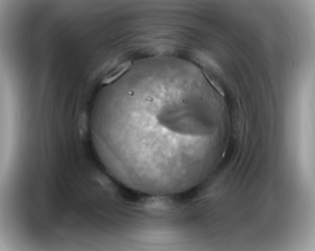 X0000086750077200704271719