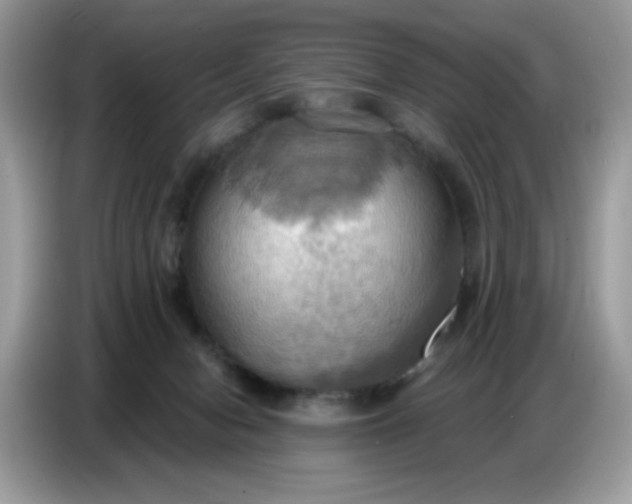 X0000086750078200704271719