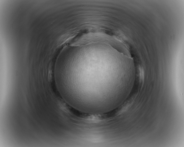 X0000086750080200704271719