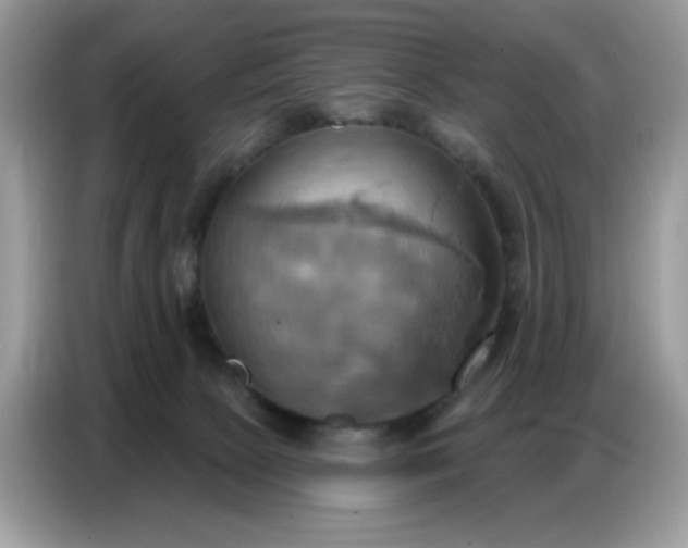 X0000086750081200704271719