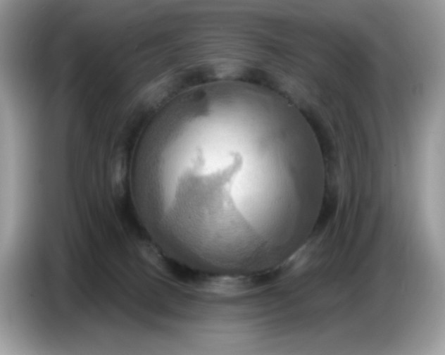 X0000086750082200704271719