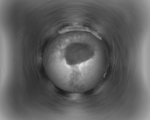 X0000086750085200704271719