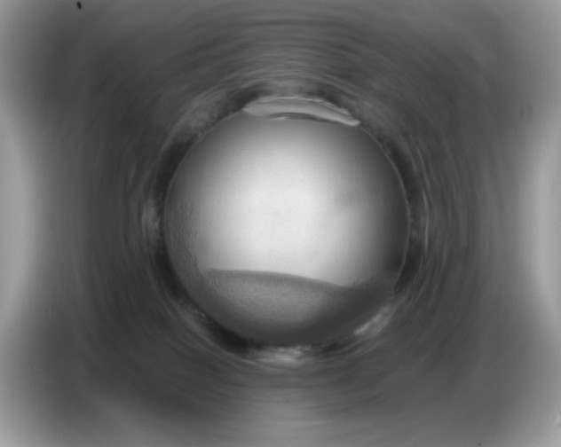 X0000086750086200704271719