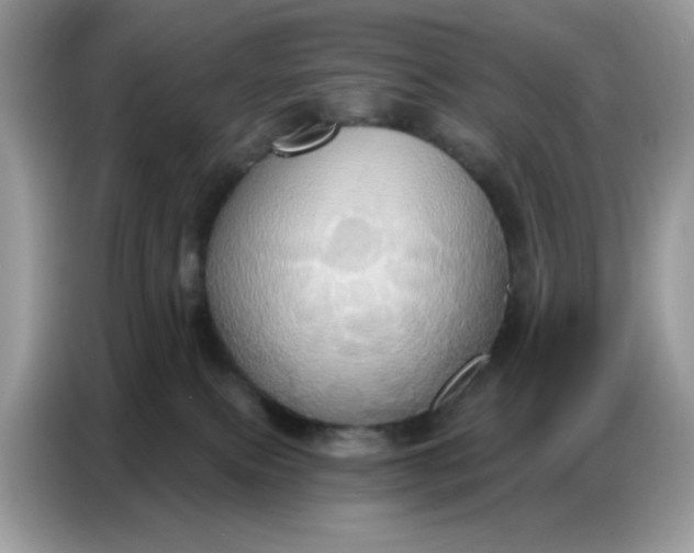 X0000086750087200704271719