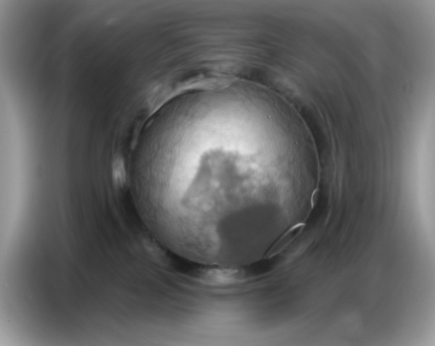 X0000086750089200704271719