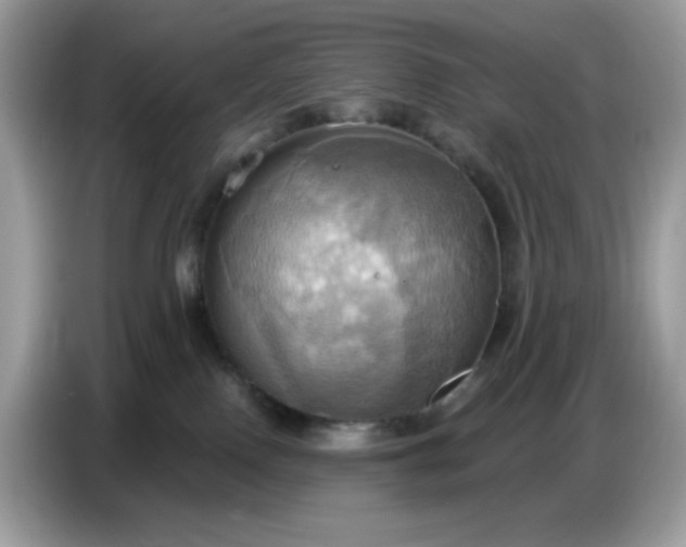 X0000086750090200704271719