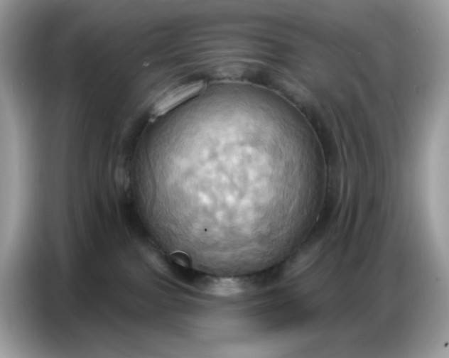 X0000086750091200704271719