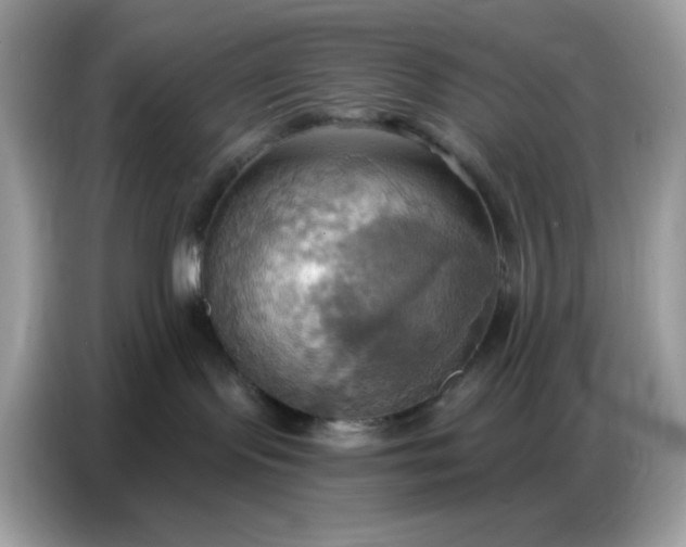 X0000086750095200704271719