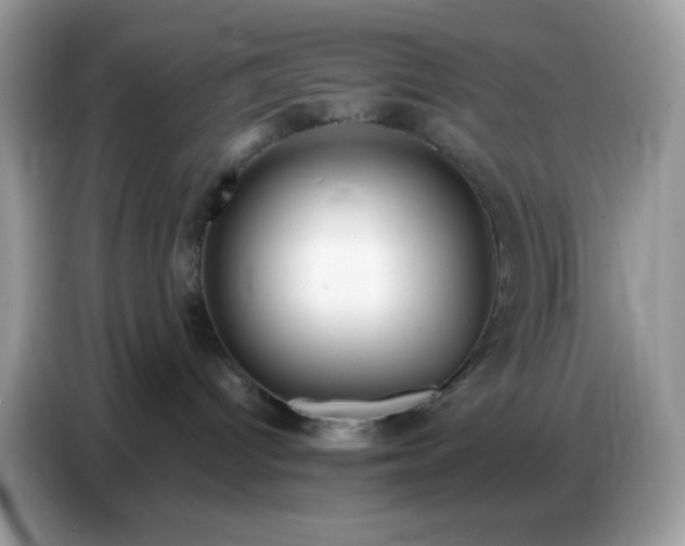 X0000086750096200704271719