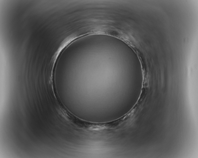 X0000086750099200704271718