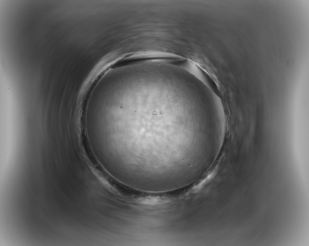 X0000086750101200704271718