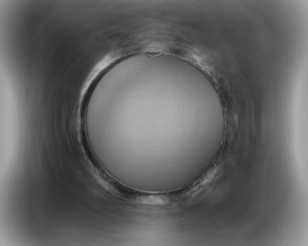 X0000086750102200704271718