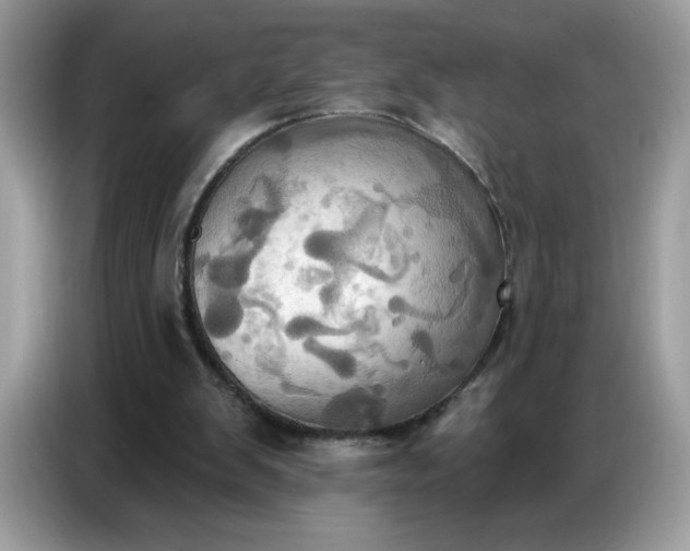 X0000086750103200704271718