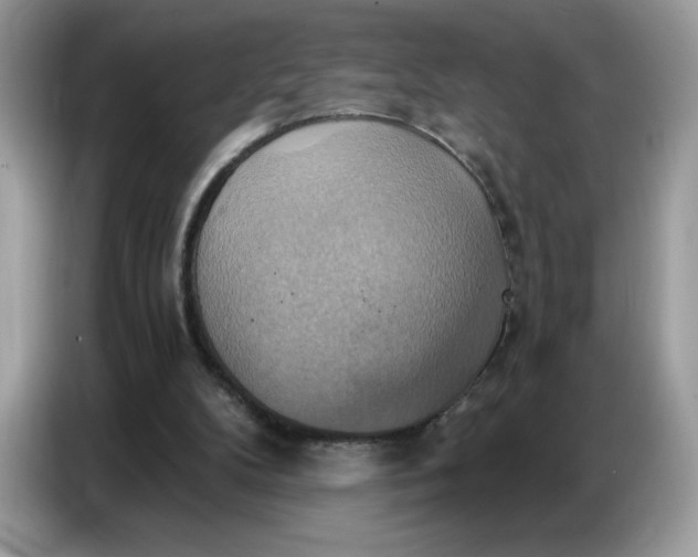 X0000086750104200704271718