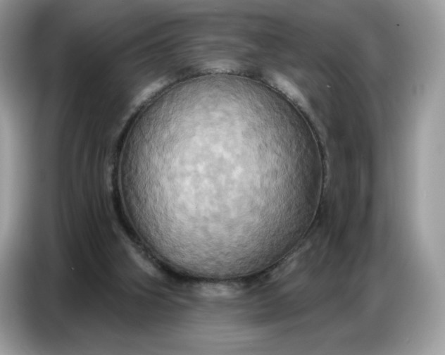 X0000086750106200704271718