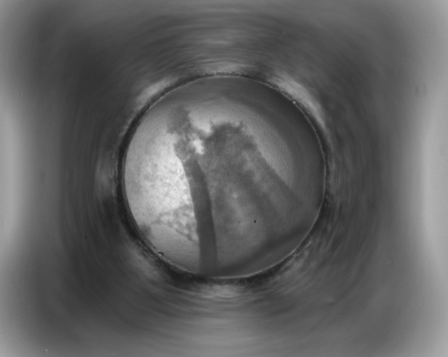 X0000086750107200704271718