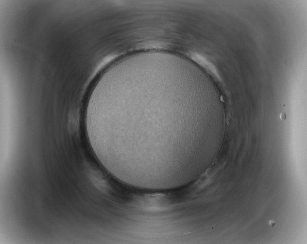 X0000086750108200704271718