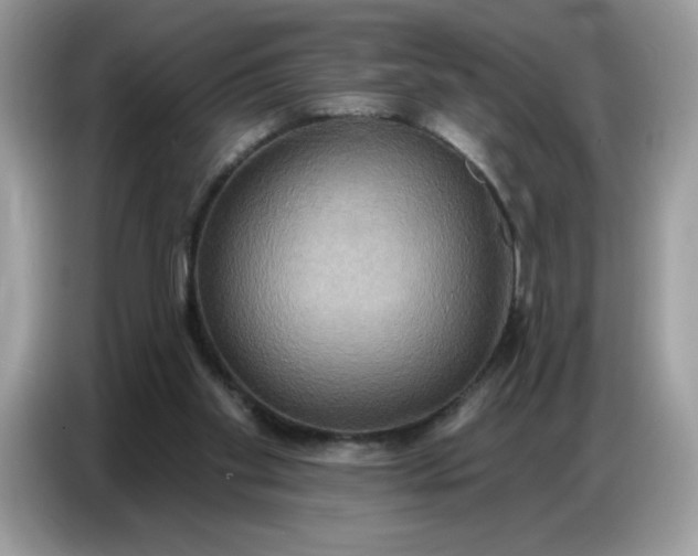 X0000086750109200704271718