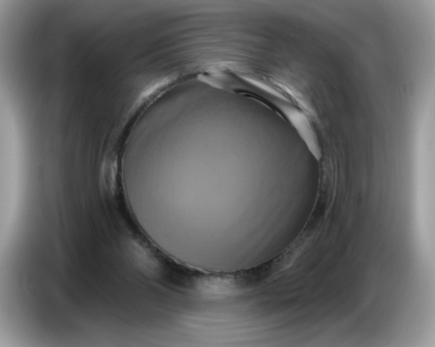 X0000086750110200704271718