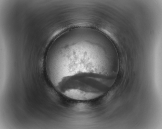 X0000086750111200704271718