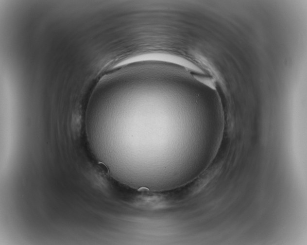 X0000086750113200704271718