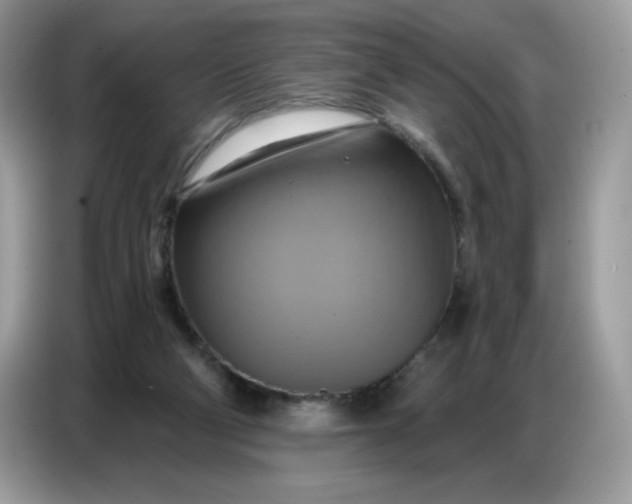 X0000086750114200704271718