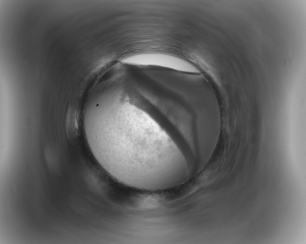 X0000086750115200704271718