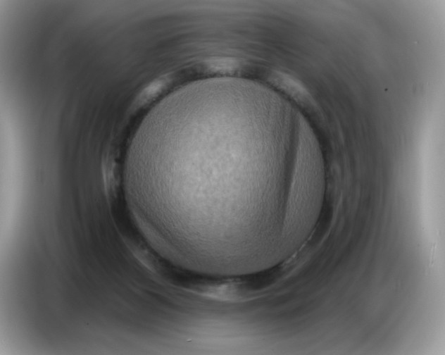 X0000086750116200704271718