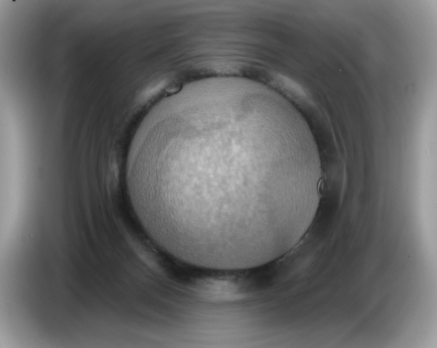 X0000086750120200704271718