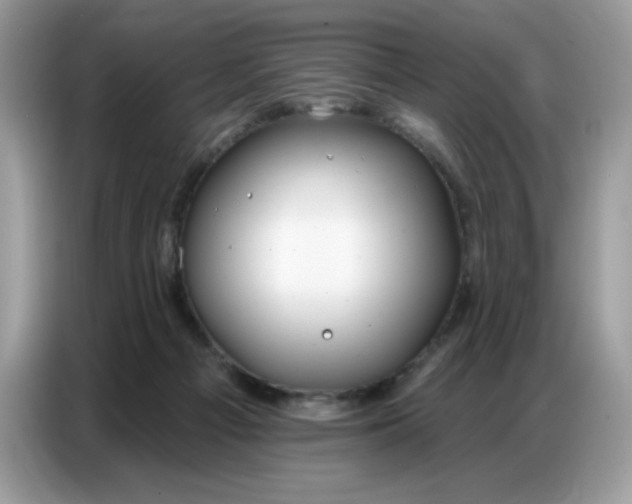 X0000086750121200704271718