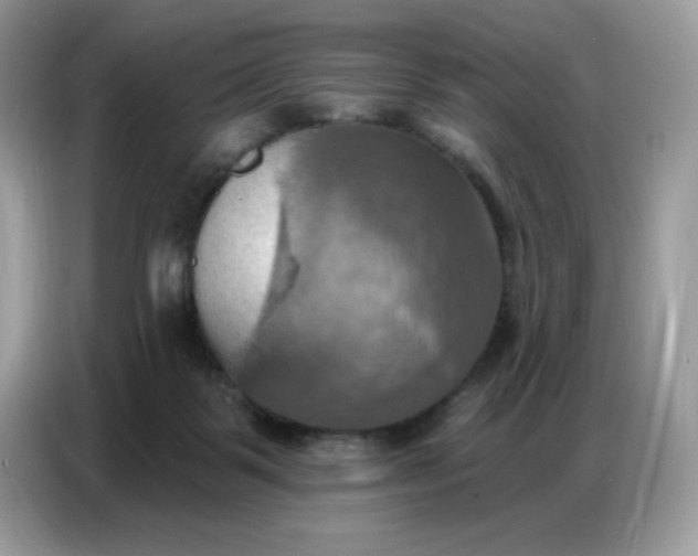 X0000086750123200704271718