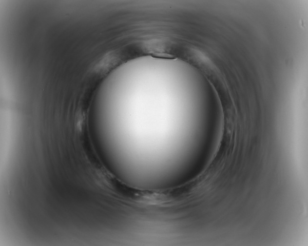 X0000086750125200704271718