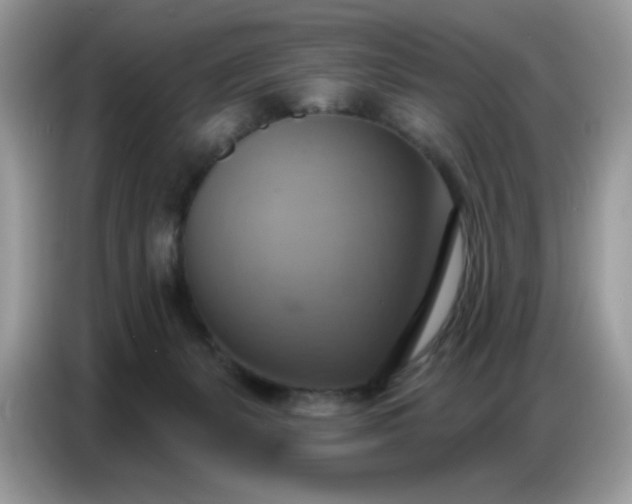 X0000086750127200704271718