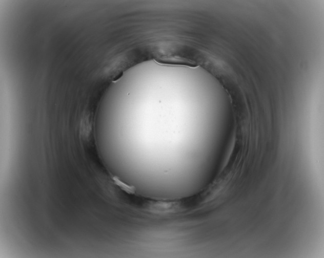 X0000086750129200704271718