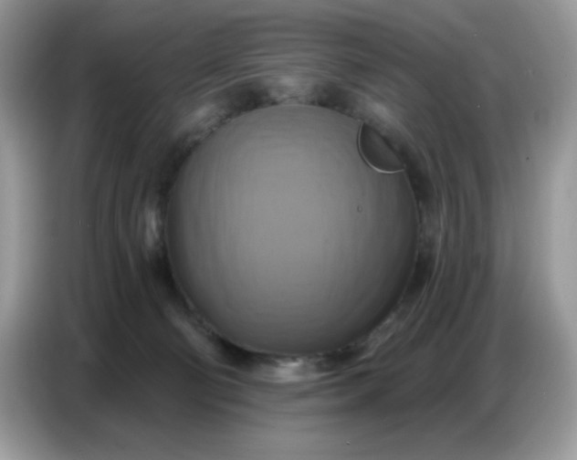 X0000086750130200704271718