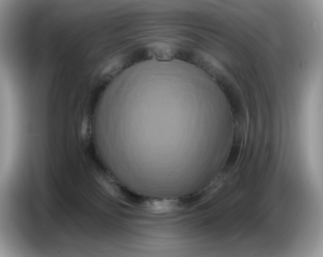 X0000086750134200704271718