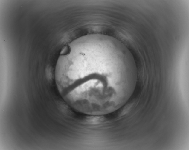 X0000086750135200704271718