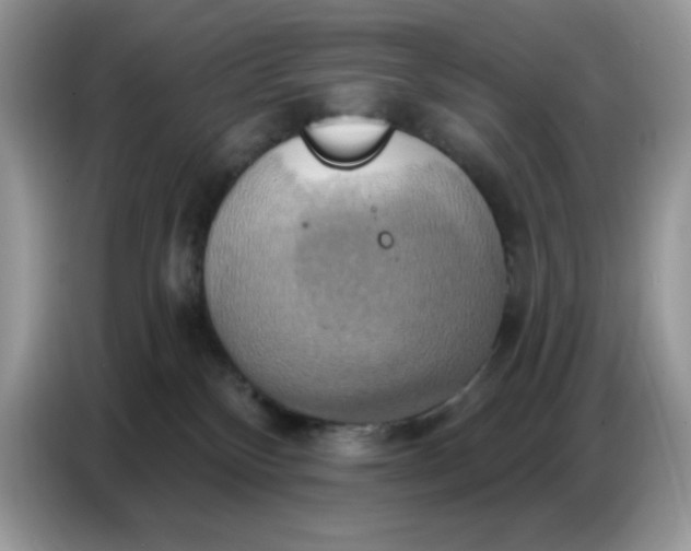 X0000086750136200704271718