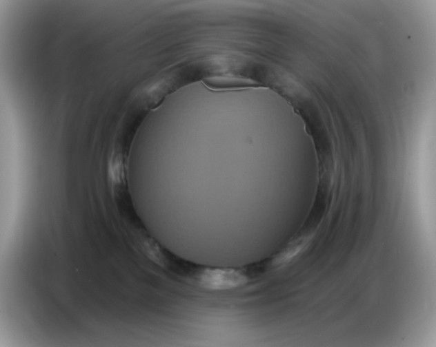 X0000086750137200704271718