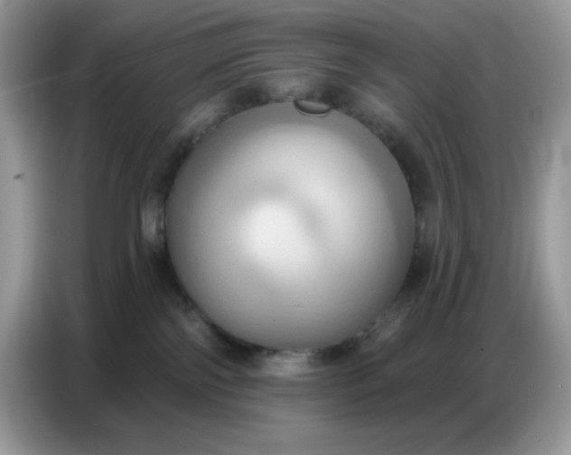 X0000086750138200704271718