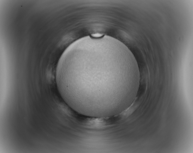 X0000086750140200704271718