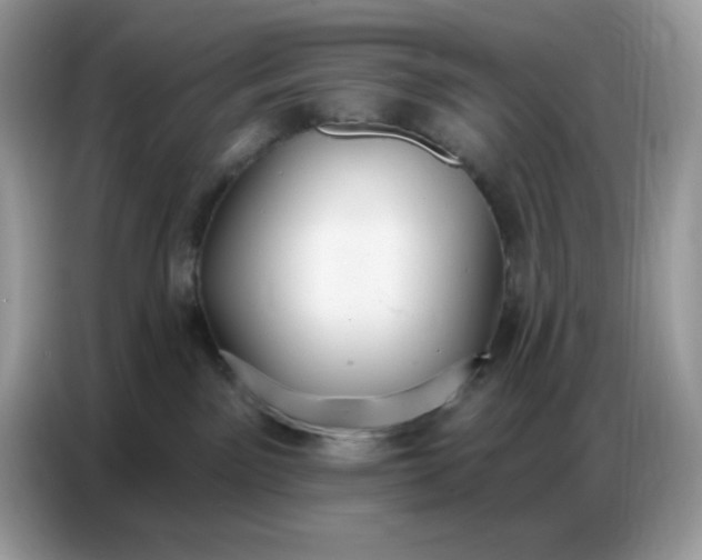 X0000086750141200704271718