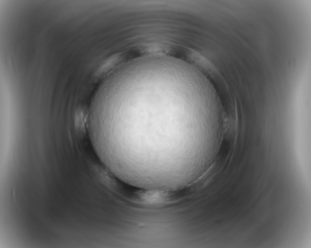 X0000086750142200704271718