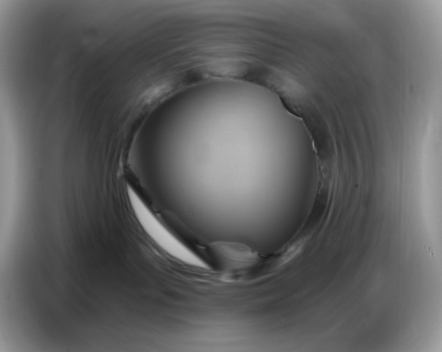 X0000086750143200704271718