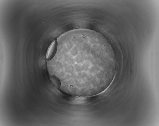 X0000086750144200704271718