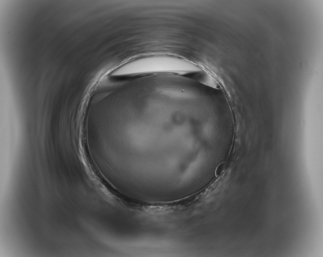 X0000086750145200704271717