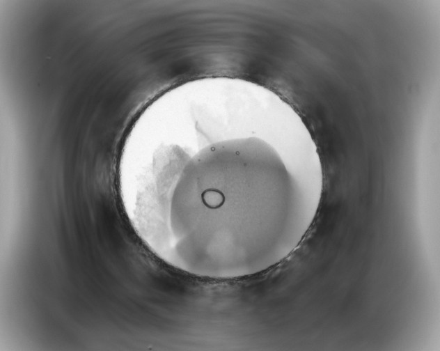 X0000086750146200704271717