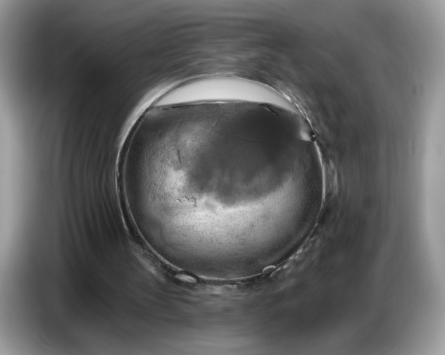 X0000086750147200704271717