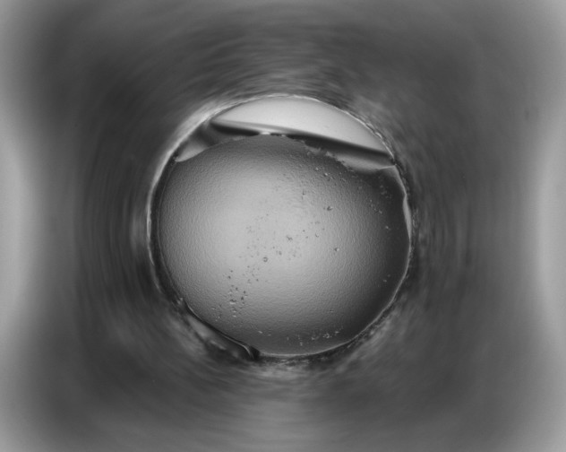 X0000086750148200704271717